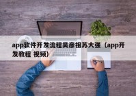 app软件开发流程吴彦祖苏大强（app开发教程 视频）